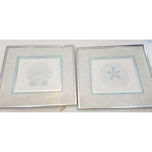 Ann P Ingerson Briney Baubles VI & II Ocean Shell Sand Dollar Framed Pictures